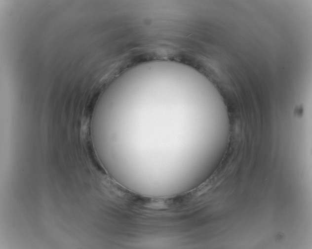 X0000091930177200709051248