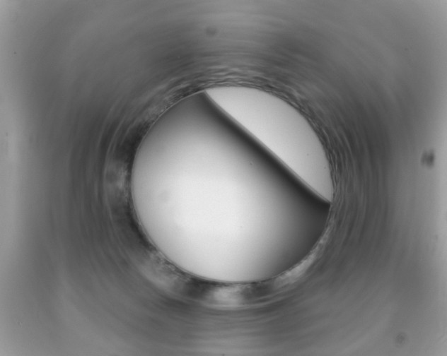 X0000091930178200709051248