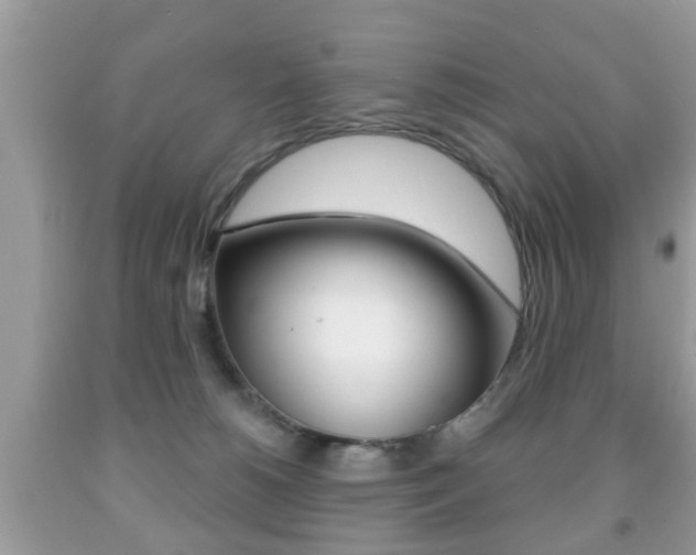 X0000091930180200709051248