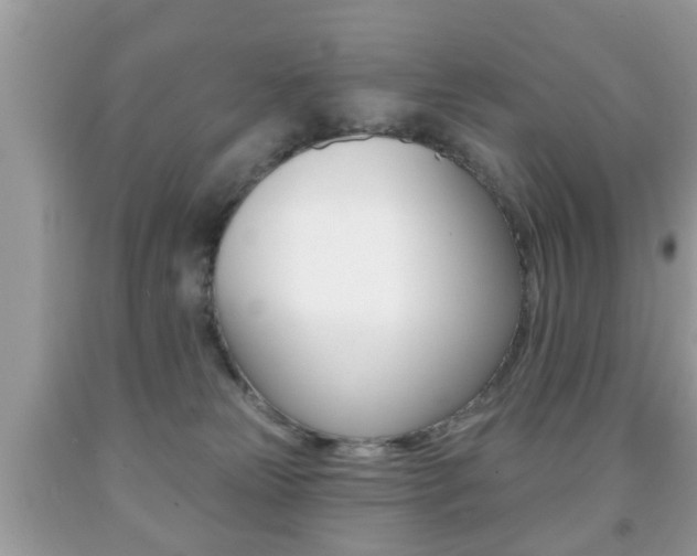 X0000091930181200709051248