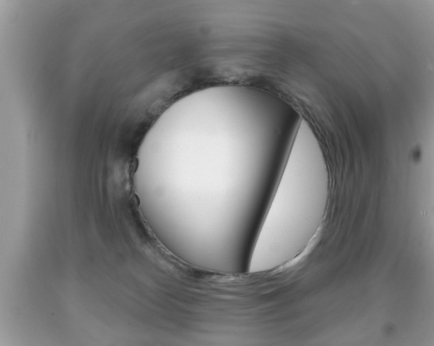 X0000091930182200709051248