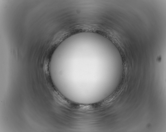 X0000091930185200709051248