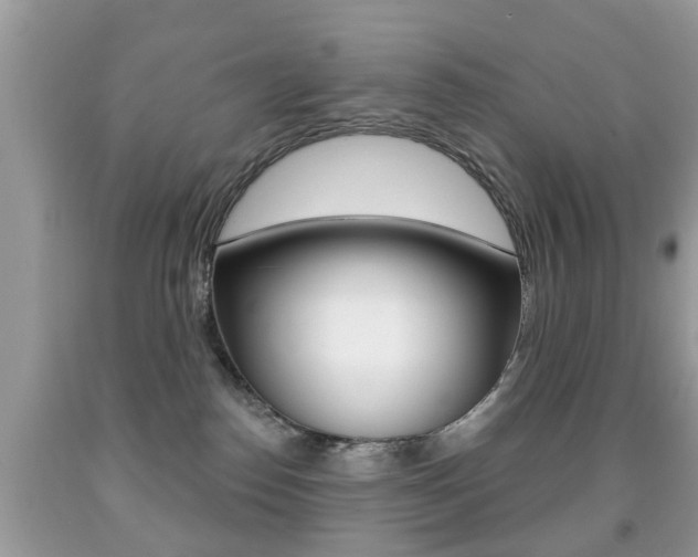 X0000091930186200709051248