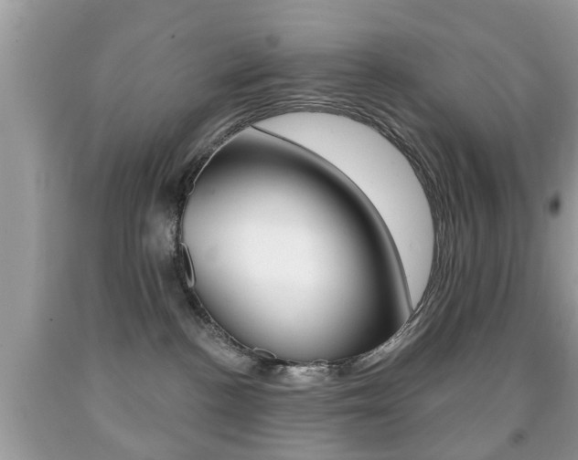 X0000091930188200709051248