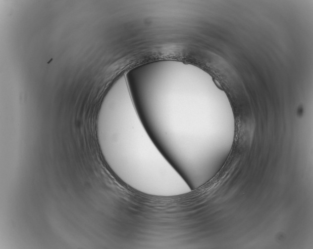 X0000091930189200709051248