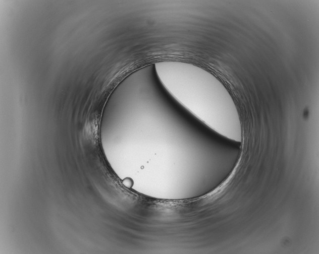 X0000091930190200709051248