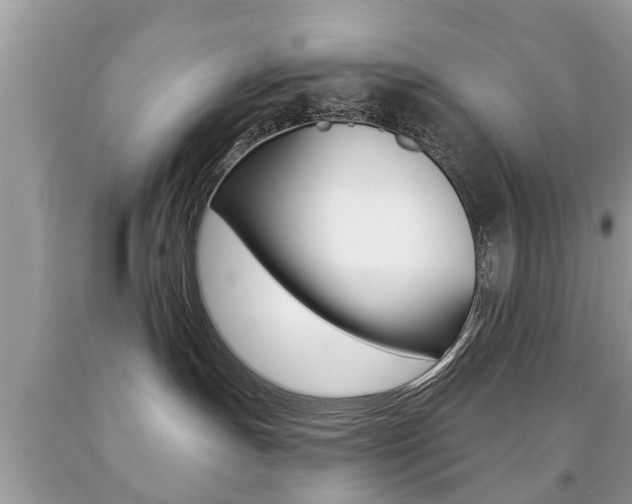 X0000091930191200709051248