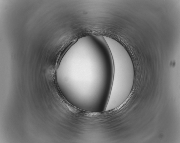 X0000091930192200709051249