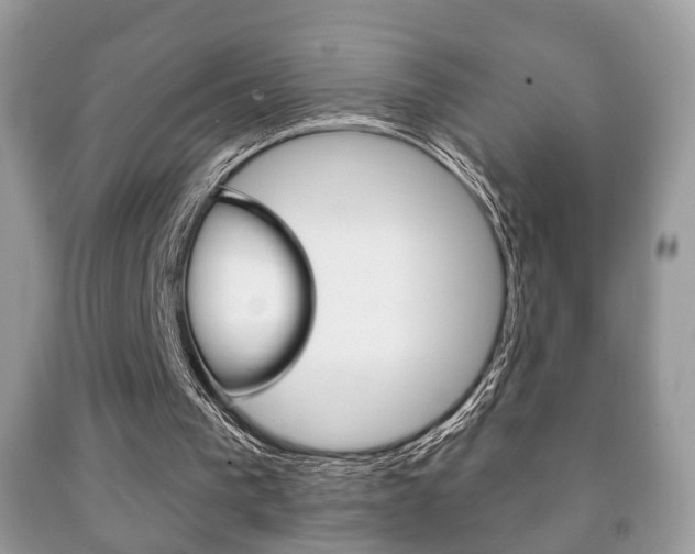 X0000091930193200709051248