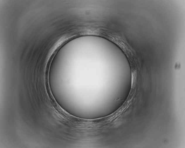 X0000091930195200709051248