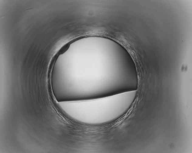 X0000091930196200709051248