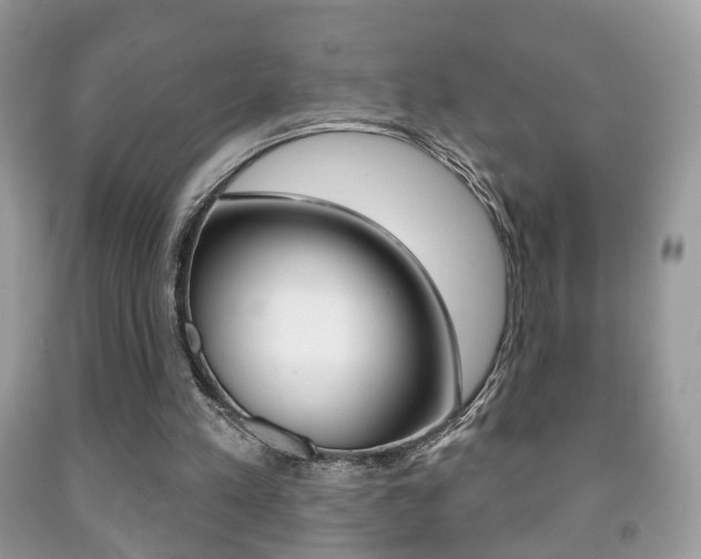 X0000091930197200709051248