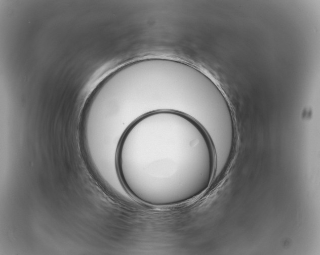 X0000091930199200709051248