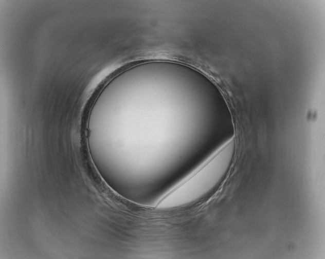 X0000091930200200709051248