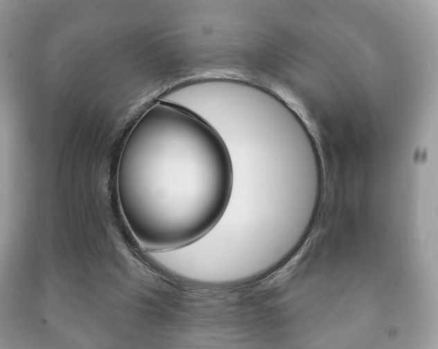 X0000091930201200709051248