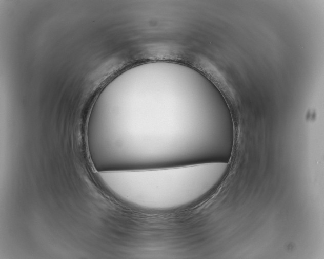 X0000091930202200709051248