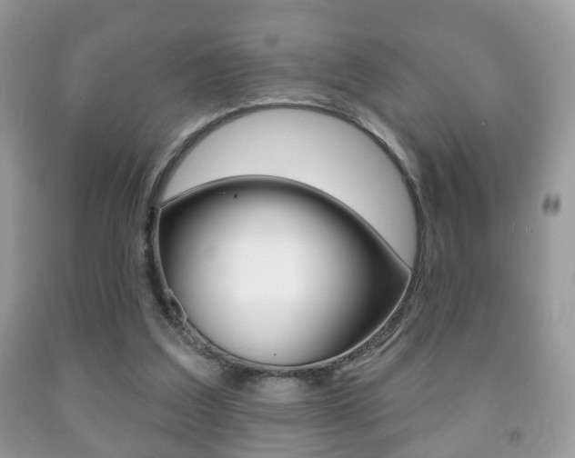 X0000091930203200709051248