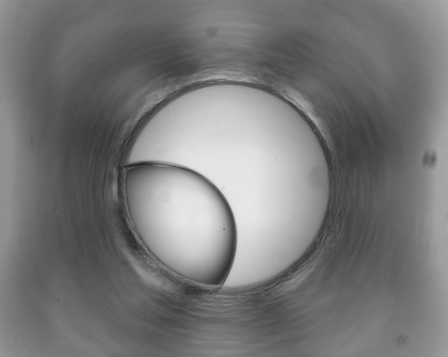 X0000091930205200709051248