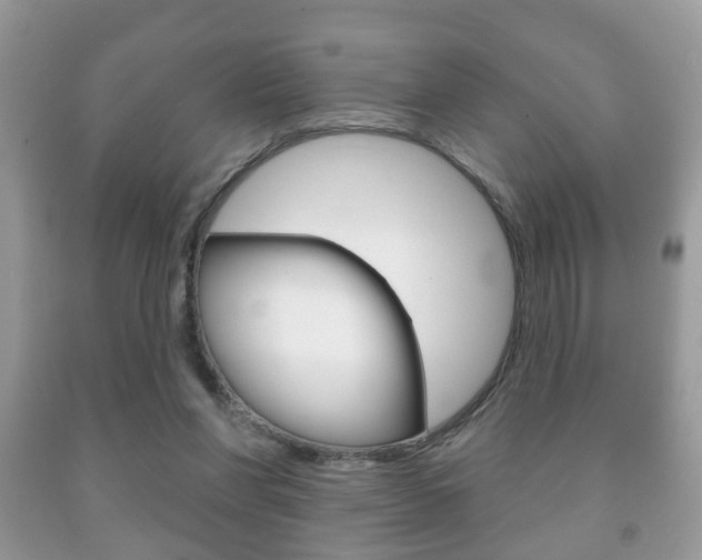 X0000091930206200709051248