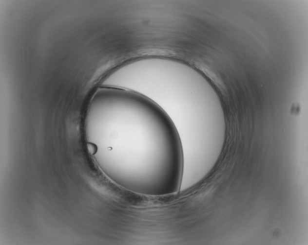 X0000091930207200709051248