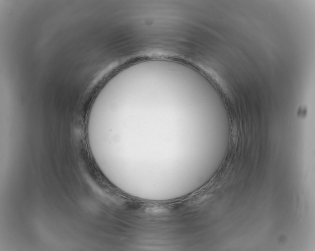 X0000091930208200709051248
