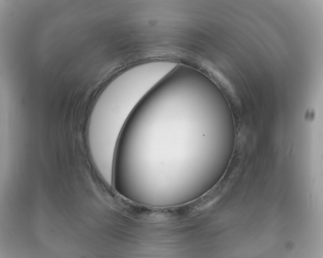 X0000091930209200709051248