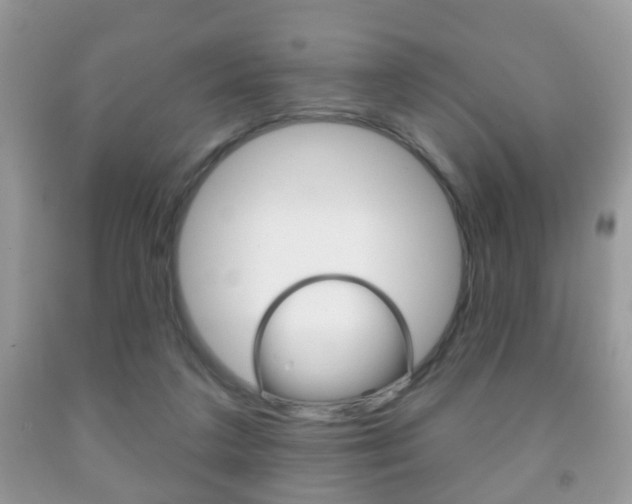 X0000091930211200709051248