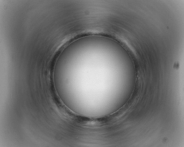 X0000091930212200709051248