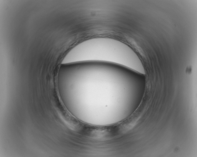 X0000091930213200709051248
