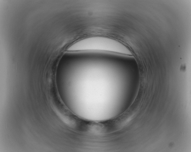 X0000091930215200709051248