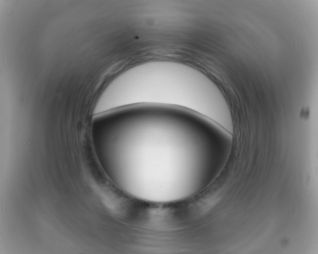 X0000091930216200709051248