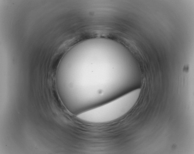 X0000091930218200709051248