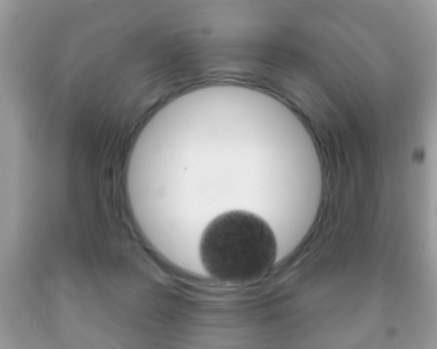 X0000091930219200709051248
