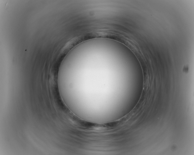 X0000091930220200709051248