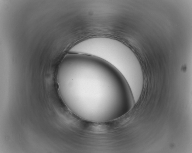 X0000091930221200709051248