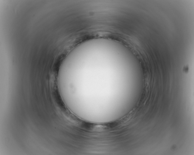 X0000091930222200709051248