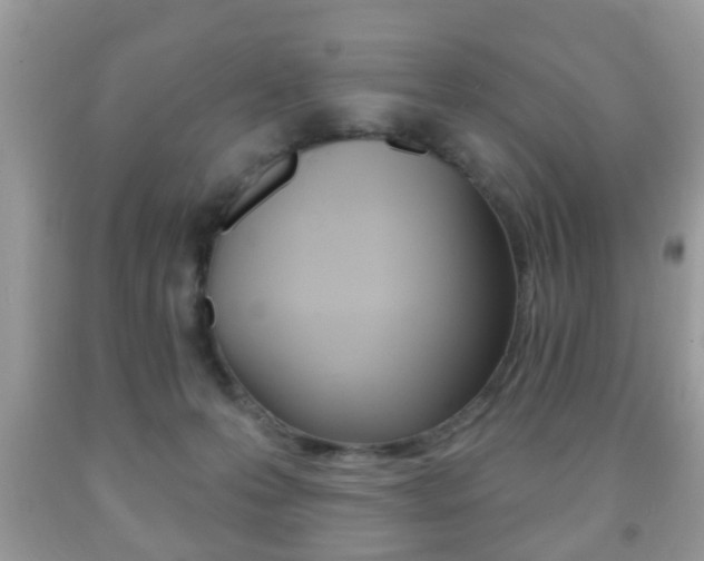 X0000091930223200709051248