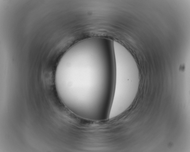 X0000091930224200709051248