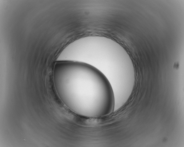 X0000091930225200709051248