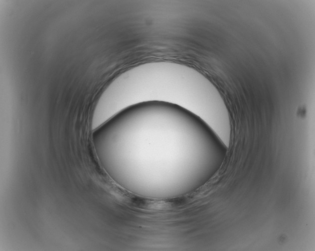 X0000091930226200709051247