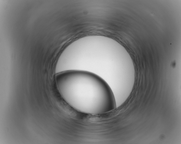 X0000091930228200709051247