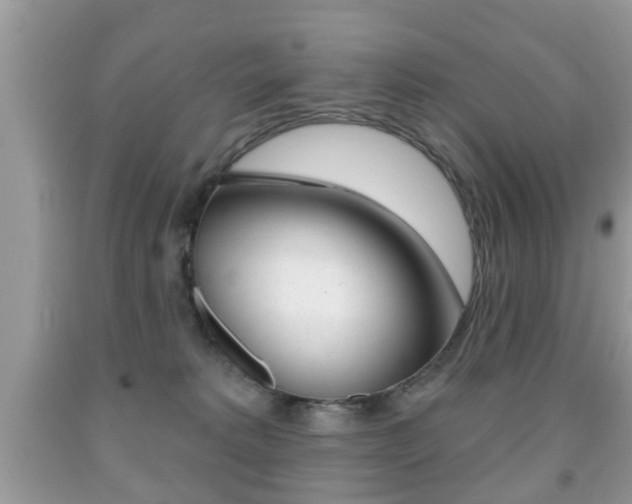 X0000091930229200709051247