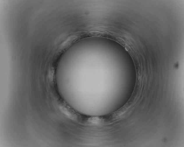 X0000091930231200709051247