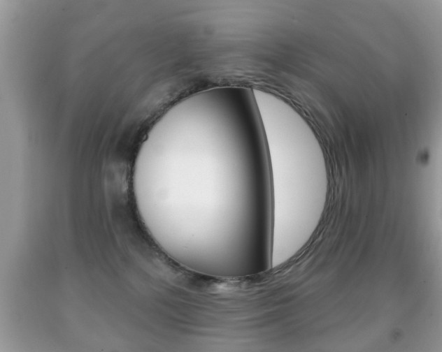 X0000091930232200709051247