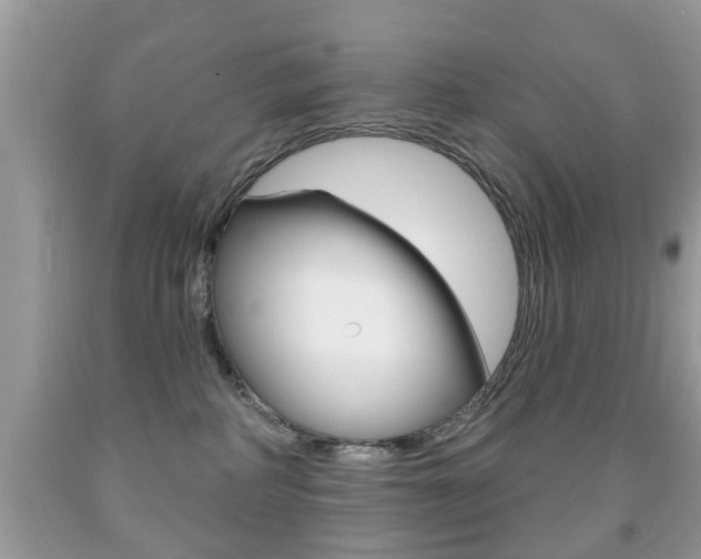X0000091930234200709051247