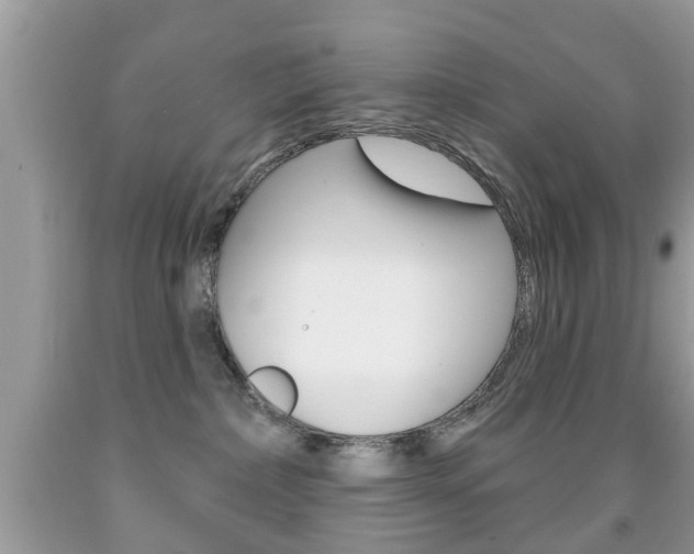 X0000091930236200709051247
