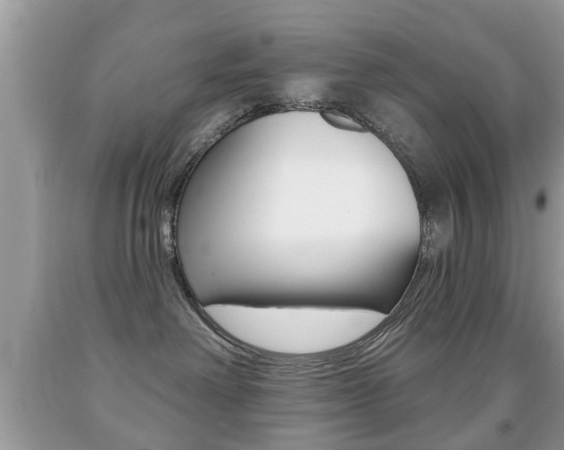 X0000091930238200709051247