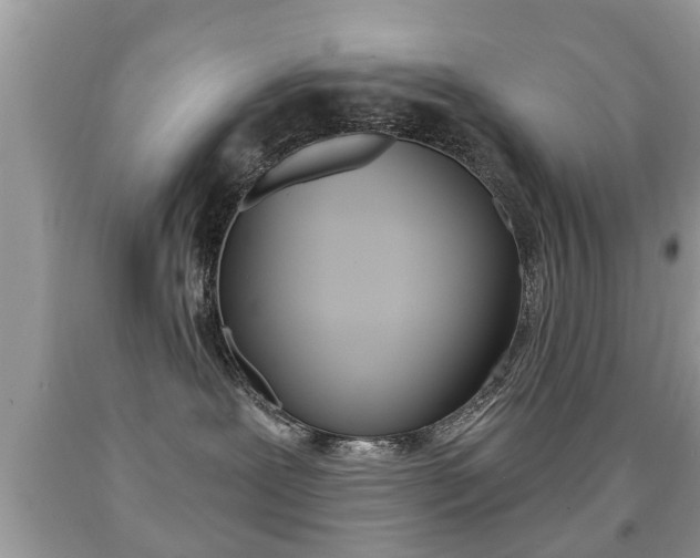 X0000091930239200709051247