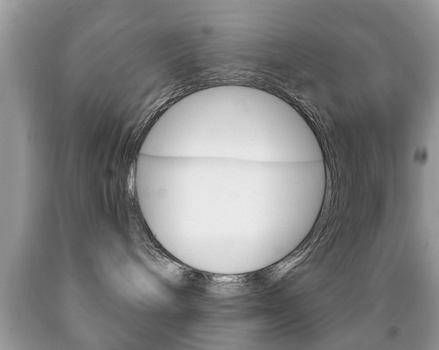 X0000091930240200709051247