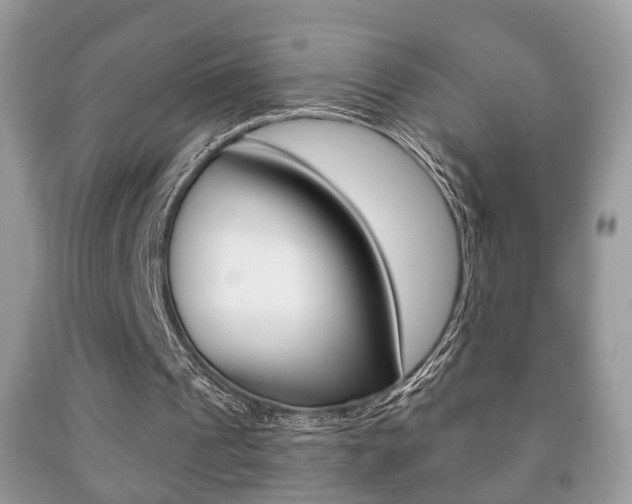 X0000091930241200709051247